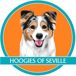 Hoogies of Seville