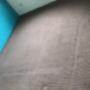 Uploaded by visitor on 11/12/2017 - Carpet steam cleaning Sydney