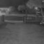 Night Vision