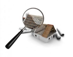 Premium Building and Pest Inspections Adelaide