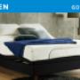 Adjustable Queen Size Bed (QUEEN BED)