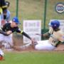 Play Baseball
