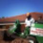 Professional stump grinding service