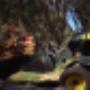 Tree removal Perth