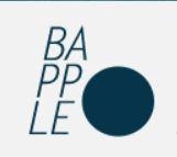 Bapple Website Design