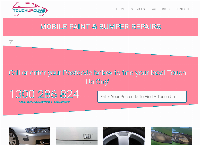 Touch Up Guys's website