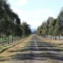 Egmont Park Stud