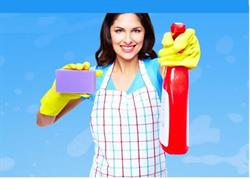 The Commercial Cleanerz