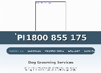 Hairy Tails Dog Grooming Boutique's website