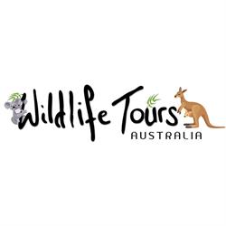 Wildlife Tours Australia