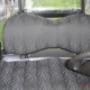 golf cart seat covers