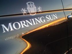 Morning Sun Vineyard