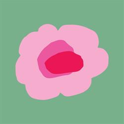 Cabbages Flower Shop