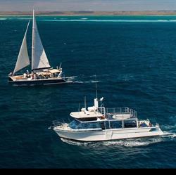 Ningaloo Discovery