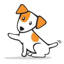 Cook Dog Training & Day Care