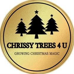 Chrissy Trees 4 U