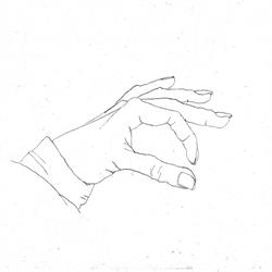 Drawn to Seeing