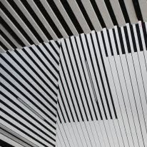 searle x waldron architecture