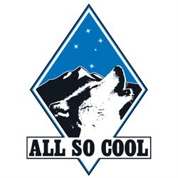 All So Cool Pty. Ltd. Refrigeration - Beer Systems - Ice Machines