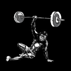 Crossfit Bendigo