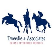 Equine Veterinary Services