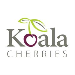 KOALA CHERRIES