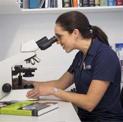 Ivanhoe Vet Clinic