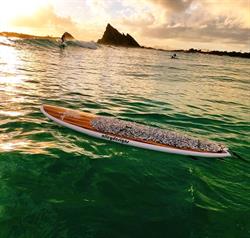 Alleydesigns SUP's, Snowboards & Snow Ski Sport Shop