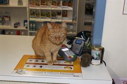 Macquarie Vet Clinic