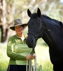 Heartwood Horses Equine Therapy Centre