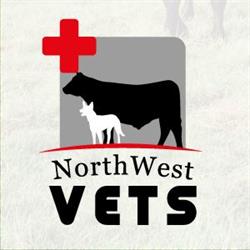 NorthWest Vets