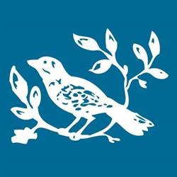 Bluebird Foundation Inc