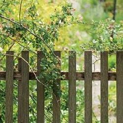 Picket Fence Finance