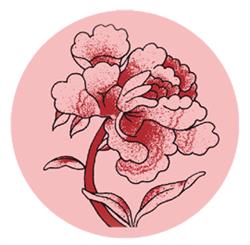Fitzroy Chinese Medicine Clinic