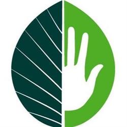 Beech Health