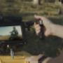 Vehicle tracking