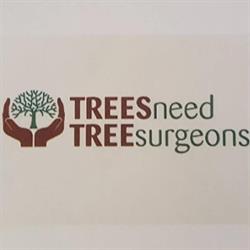 Trees Need Tree Surgeons