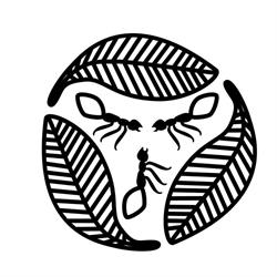 Aboriginal Bush Traders