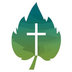 The Vine Baptist Church – Eltham
