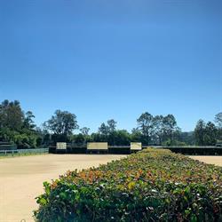 Park