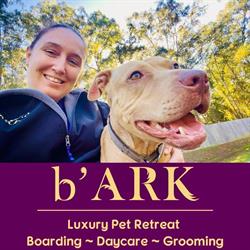 KATIE'S ARK