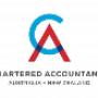 Chartered Accountant