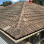 The Roof Dentist