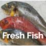 Fresh Fish