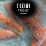 Ocean Trouts
