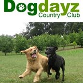 Dogdayz