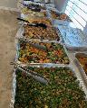 Creating the Perfect Menu for Your Catered Event