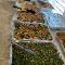 catering-North-Ryde