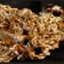 GOLD BULLION