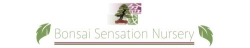 Bonsai Sensation Nursery